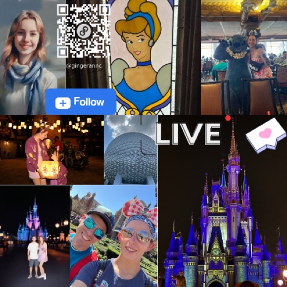PINK Other - LIVE SHOW ALERT🚨💙🏰